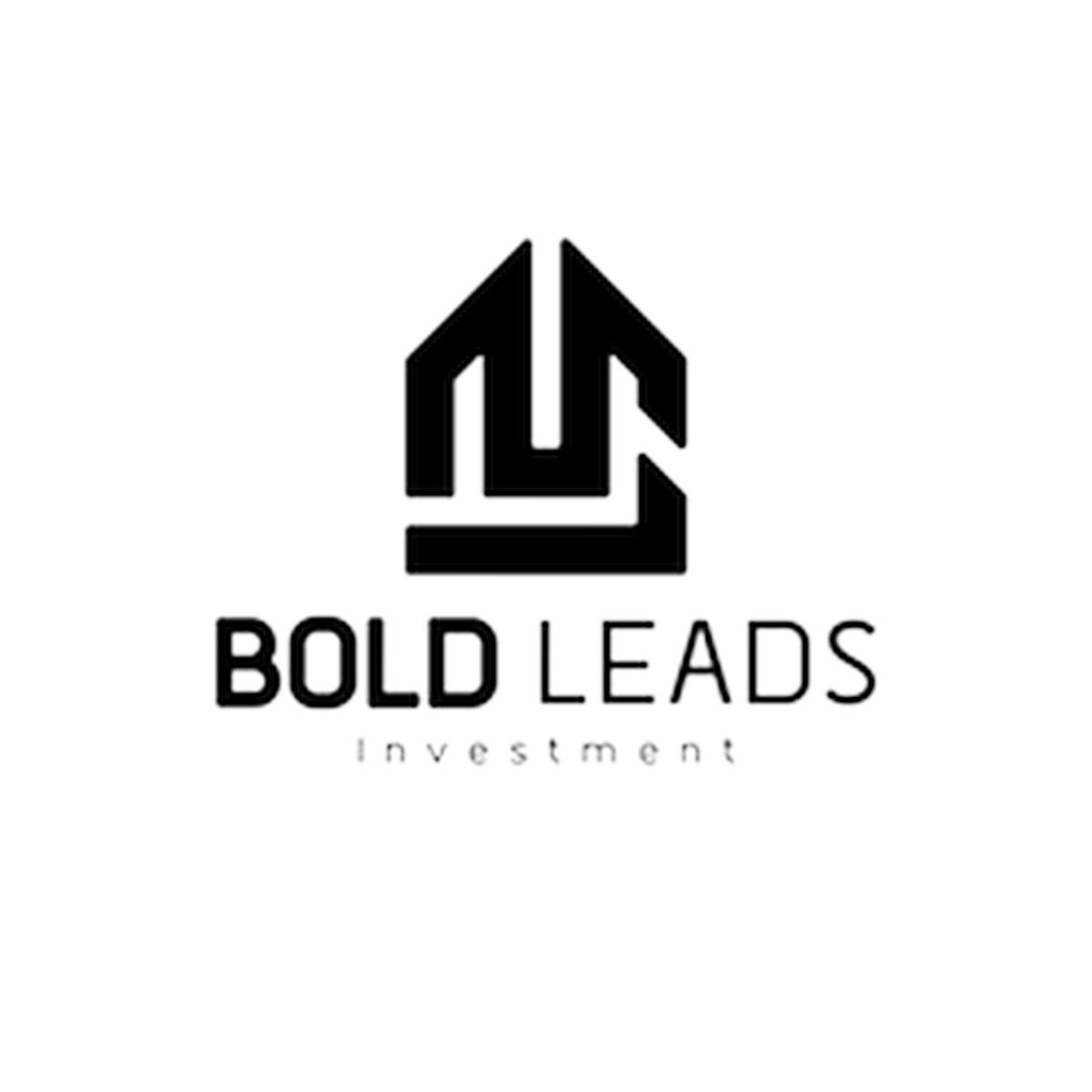 Bold Leads Investment logo